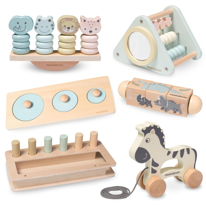 Montessori toy set for baby 19-24 months
