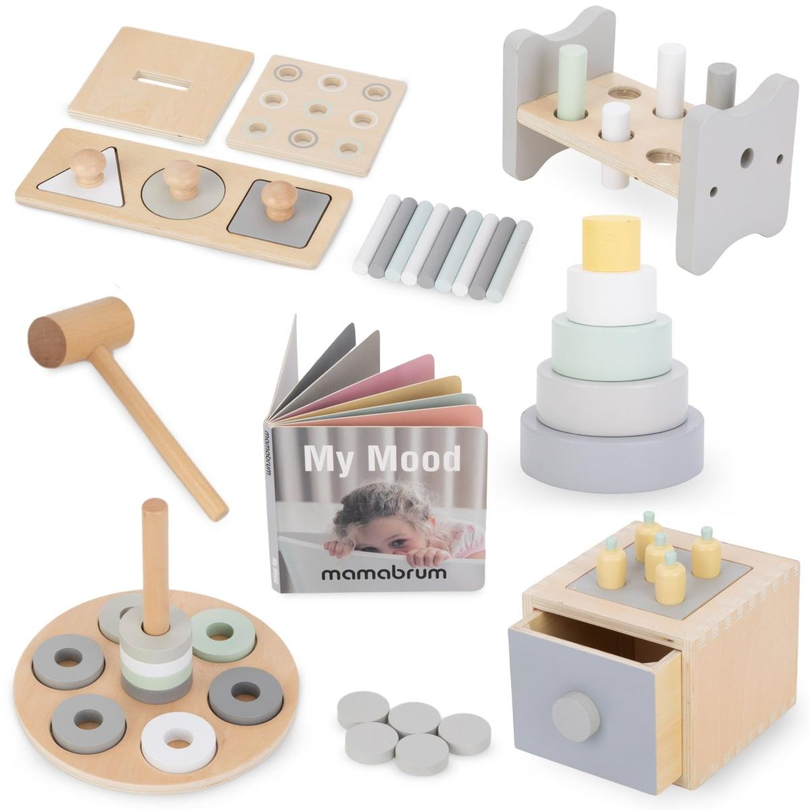 Montessori Educational Box for Toddlers - 6 Toys