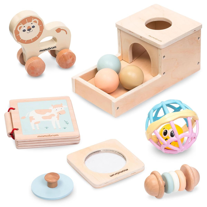Montessori toy set for baby 7-12 months